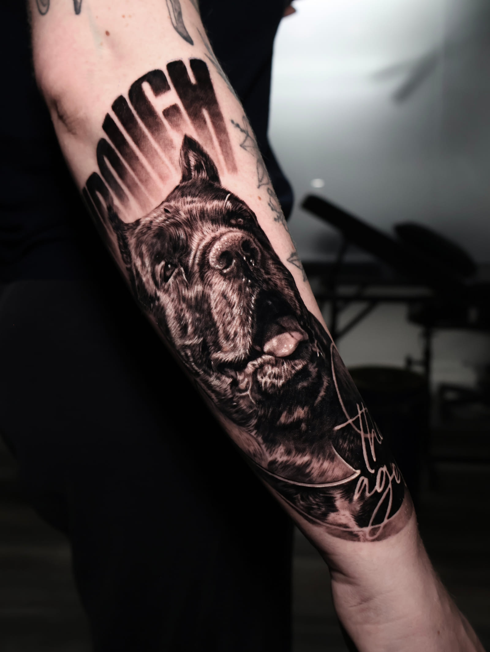 Cane Corso